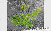 Satellite 3D Map of Jalisco, desaturated