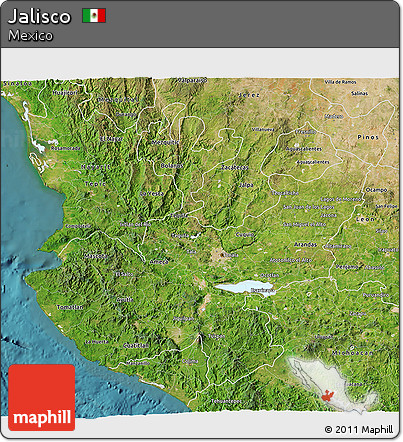 Satellite 3D Map of Jalisco
