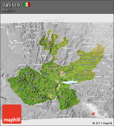 Satellite 3D Map of Jalisco, lighten, desaturated