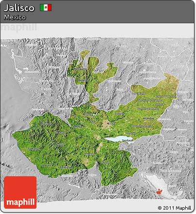 Satellite 3D Map of Jalisco, lighten, desaturated