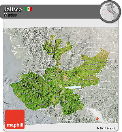 Satellite 3D Map of Jalisco, lighten, semi-desaturated