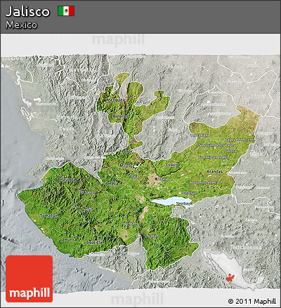 Satellite 3D Map of Jalisco, lighten, semi-desaturated