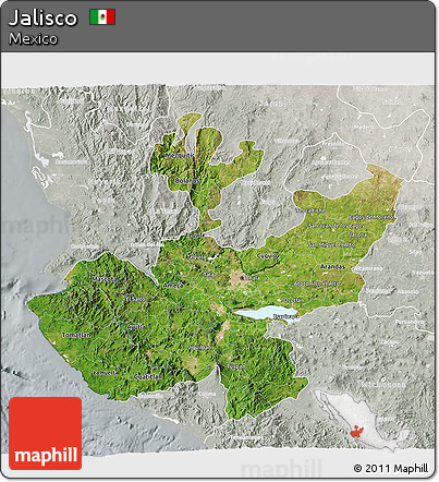 Satellite 3D Map of Jalisco, lighten, semi-desaturated