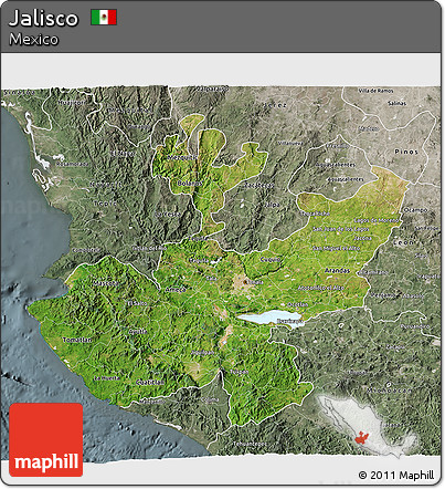 Satellite 3D Map of Jalisco, semi-desaturated