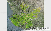 Satellite 3D Map of Jalisco, semi-desaturated