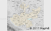 Shaded Relief 3D Map of Jalisco, desaturated