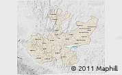 Shaded Relief 3D Map of Jalisco, lighten, desaturated