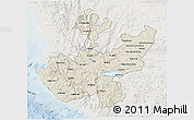 Shaded Relief 3D Map of Jalisco, lighten