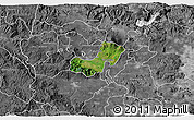 Satellite 3D Map of Ahualulco de Mercado, desaturated