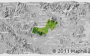 Satellite 3D Map of Ahualulco de Mercado, lighten, desaturated