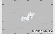 Gray Map of Ahualulco de Mercado, single color outside