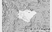 Gray Map of Ameca