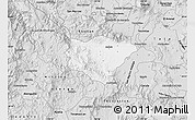 Silver Style Map of Ameca
