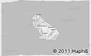 Gray 3D Map of Autlan de Navarro, single color outside