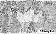 Gray 3D Map of Bolanos