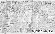 Silver Style 3D Map of Bolanos
