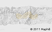 Shaded Relief Panoramic Map of Bolanos, lighten, desaturated