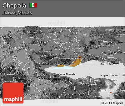 Physical 3D Map of Chapala, desaturated