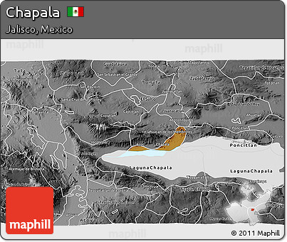 Physical 3D Map of Chapala, desaturated