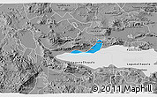 Political 3D Map of Chapala, desaturated