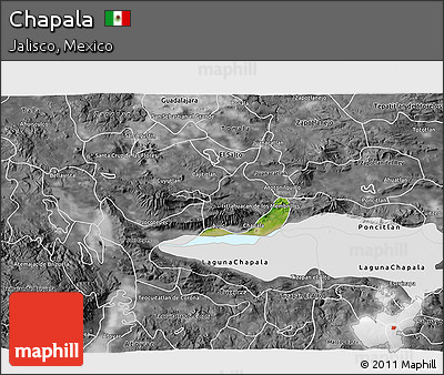 Satellite 3D Map of Chapala, desaturated