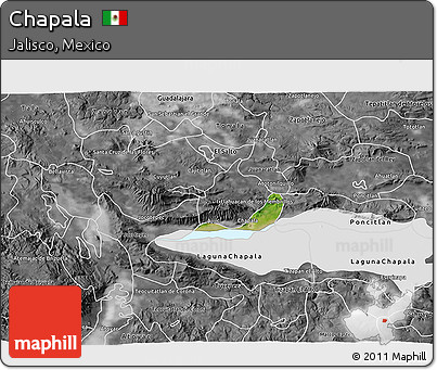 Satellite 3D Map of Chapala, desaturated