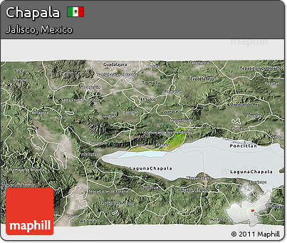 Satellite 3D Map of Chapala, semi-desaturated