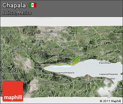 Satellite 3D Map of Chapala, semi-desaturated