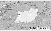Gray 3D Map of Encarnacion de Diaz