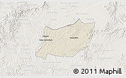 Shaded Relief 3D Map of Encarnacion de Diaz, lighten