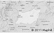 Silver Style 3D Map of Encarnacion de Diaz