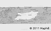Gray Panoramic Map of Encarnacion de Diaz