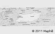 Silver Style Panoramic Map of Encarnacion de Diaz
