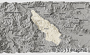 Shaded Relief 3D Map of Guachinango, darken, semi-desaturated