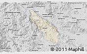 Shaded Relief 3D Map of Guachinango, desaturated