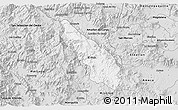 Silver Style 3D Map of Guachinango