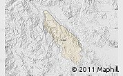 Shaded Relief Map of Guachinango, lighten, desaturated