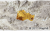 Physical 3D Map of Hostotipaquillo, lighten, semi-desaturated