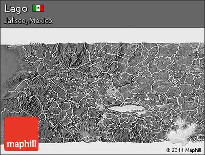 Satellite 3D Map of Lago, desaturated