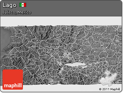 Satellite 3D Map of Lago, desaturated