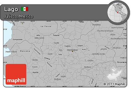 Gray Simple Map of Lago