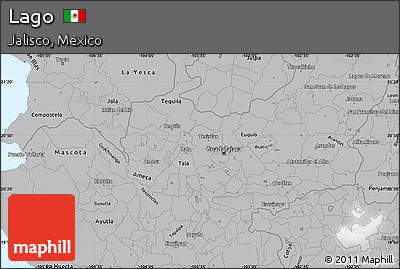 Gray Simple Map of Lago