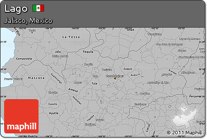 Gray Simple Map of Lago