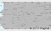 Gray Simple Map of Lago