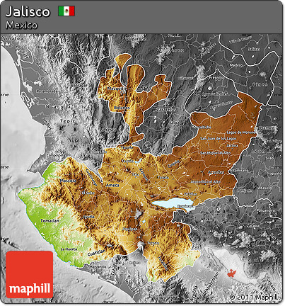 Physical Map of Jalisco, desaturated