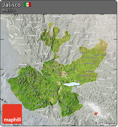 Satellite Map of Jalisco, lighten, semi-desaturated