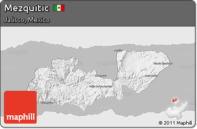 Gray Panoramic Map of Mezquitic, single color outside