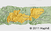 Savanna Style Panoramic Map of Mezquitic