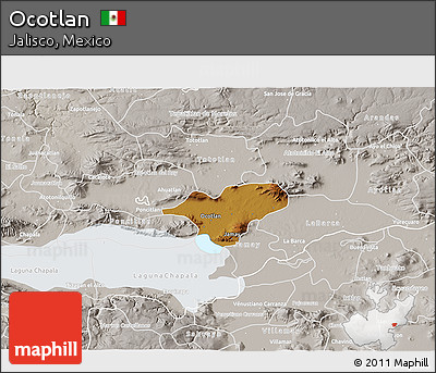 Physical 3D Map of Ocotlan, lighten, semi-desaturated