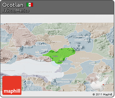 Political 3D Map of Ocotlan, lighten, semi-desaturated